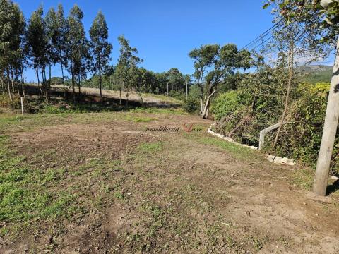 PARCELA EN XUÑO